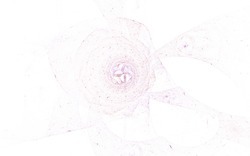 2014 04 14 Plastic 104-white.jpg